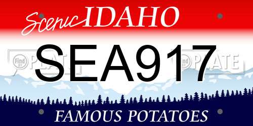 SEA917 Idaho License Plate