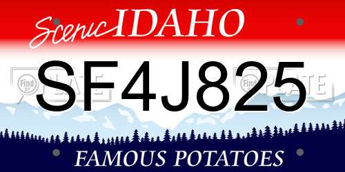 SF4J825 Idaho License Plate