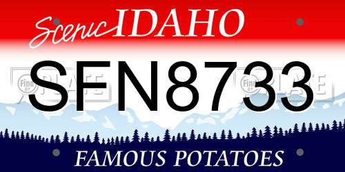 SFN8733 Idaho License Plate