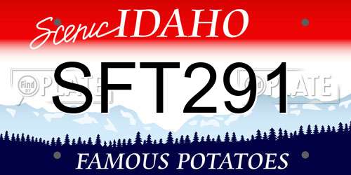 SFT291 Idaho License Plate