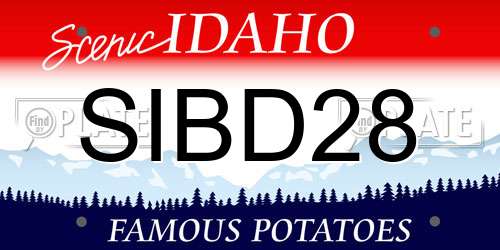 SIBD28 Idaho License Plate