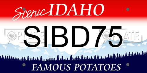 SIBD75 Idaho License Plate
