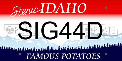 SIG44D Idaho License Plate