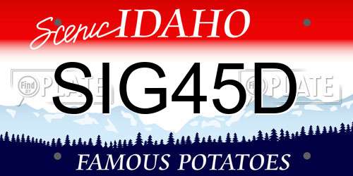 SIG45D Idaho License Plate