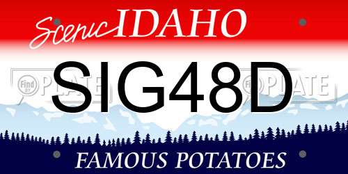 SIG48D Idaho License Plate