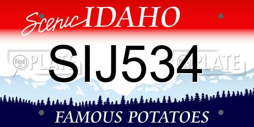 SIJ534 Idaho License Plate