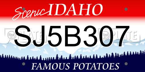 SJ5B307 Idaho License Plate