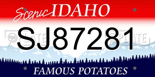 SJ87281 Idaho License Plate
