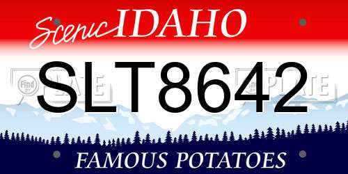 SLT8642 Idaho License Plate