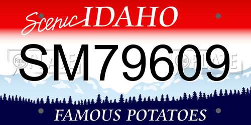SM79609 Idaho License Plate