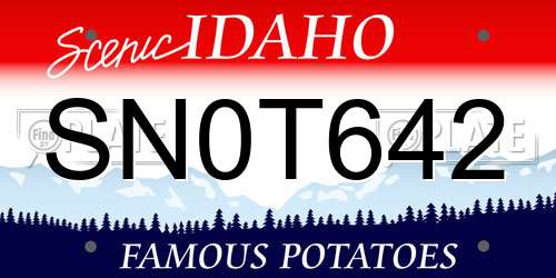 SN0T642 Idaho License Plate