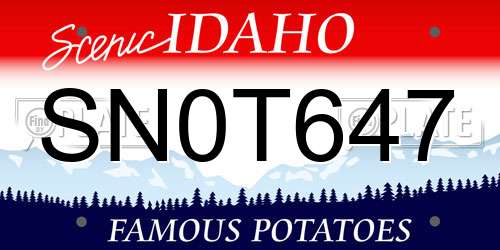 SN0T647 Idaho License Plate