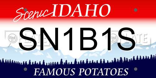 SN1B1S Idaho License Plate