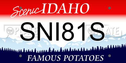 SNI81S Idaho License Plate