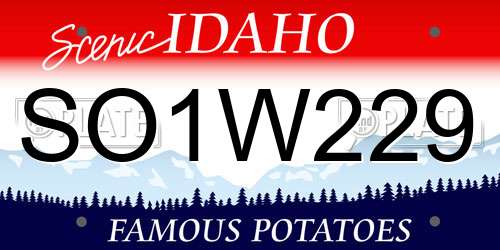 SO1W229 Idaho License Plate
