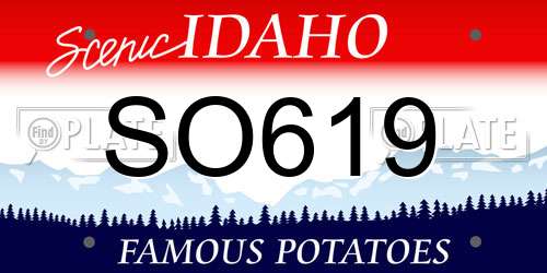 SO619 Idaho License Plate