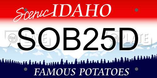 SOB25D Idaho License Plate
