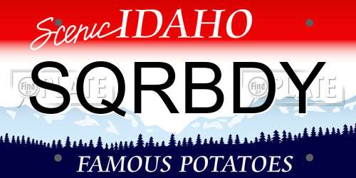 SQRBDY Idaho License Plate