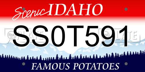 SS0T591 Idaho License Plate