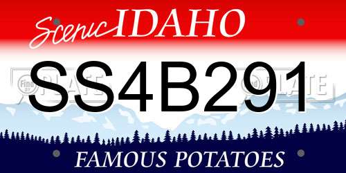 SS4B291 Idaho License Plate