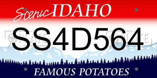 SS4D564 Idaho License Plate