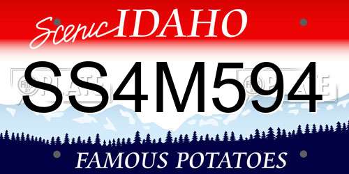 SS4M594 Idaho License Plate