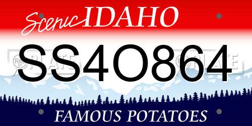 SS4O864 Idaho License Plate
