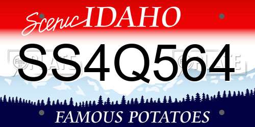SS4Q564 Idaho License Plate