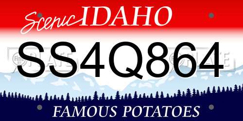 SS4Q864 Idaho License Plate