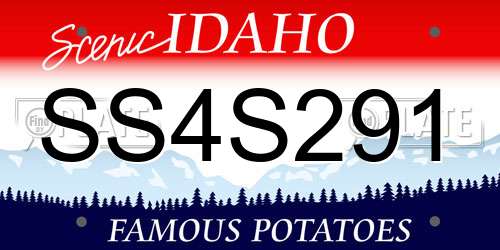 SS4S291 Idaho License Plate