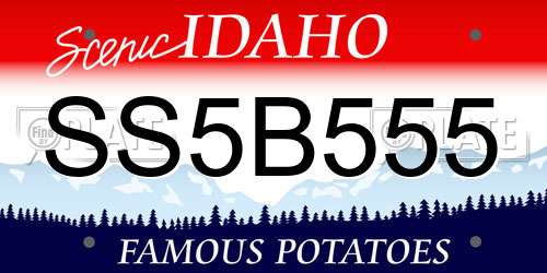 SS5B555 Idaho License Plate