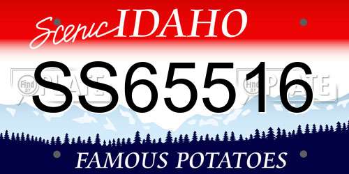 SS65516 Idaho License Plate