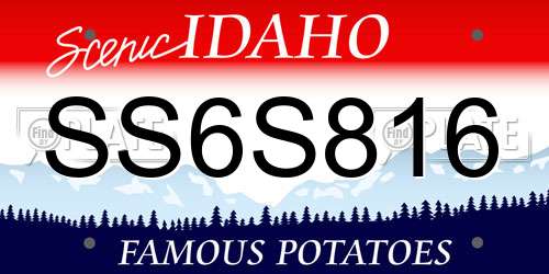 SS6S816 Idaho License Plate