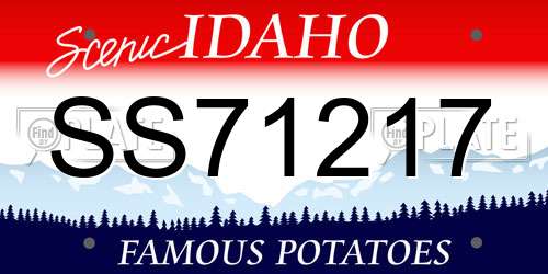 SS71217 Idaho License Plate