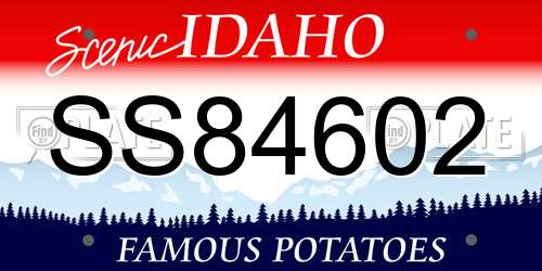 SS84602 Idaho License Plate