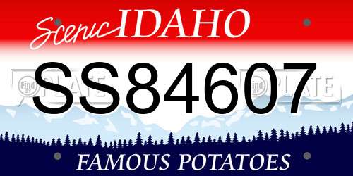 SS84607 Idaho License Plate