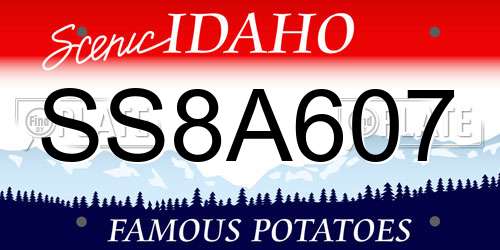 SS8A607 Idaho License Plate