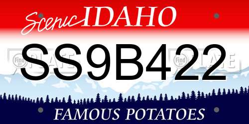 SS9B422 Idaho License Plate