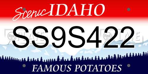 SS9S422 Idaho License Plate