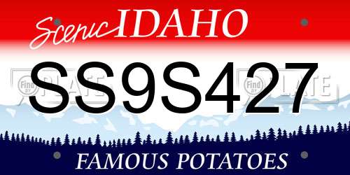 SS9S427 Idaho License Plate