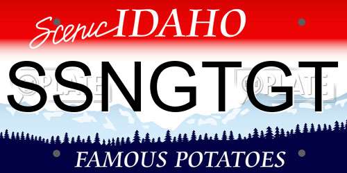 SSNGTGT Idaho License Plate