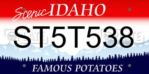 ST5T538 Idaho License Plate