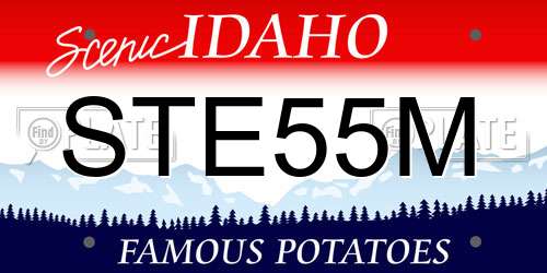 STE55M Idaho License Plate