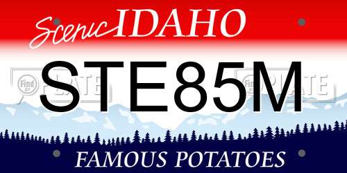 STE85M Idaho License Plate