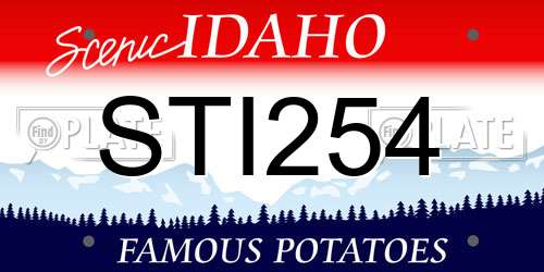 STI254 Idaho License Plate