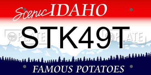 STK49T Idaho License Plate
