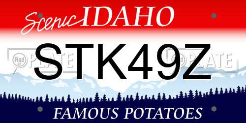 STK49Z Idaho License Plate