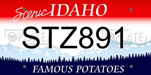 STZ891 Idaho License Plate
