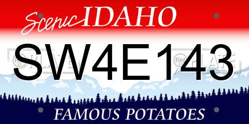 SW4E143 Idaho License Plate