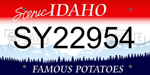 SY22954 Idaho License Plate